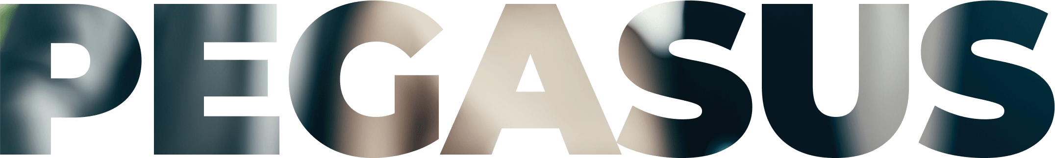 PEGASUS